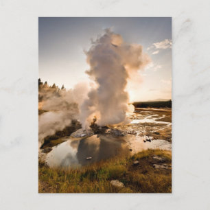 Cartão Postal Ledge Geyser, Norris Geyser Basin
