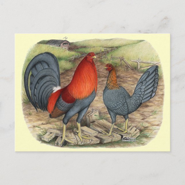 Cartão Postal Leds Azul do Jogo Americano (Frente)