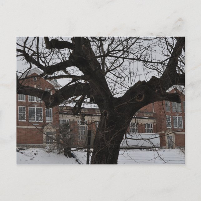 Cartão Postal Lee High (Frente)