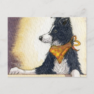 Cartão Postal Legal cowboy collie cuidadosamente mantém um olho.