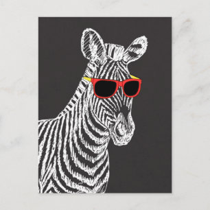 Cartão Postal Legal desenho branco de zebra engraçado e engraç
