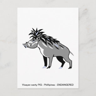 Cartão Postal Legal Visayan Warg PIG - Conservação - Warthog