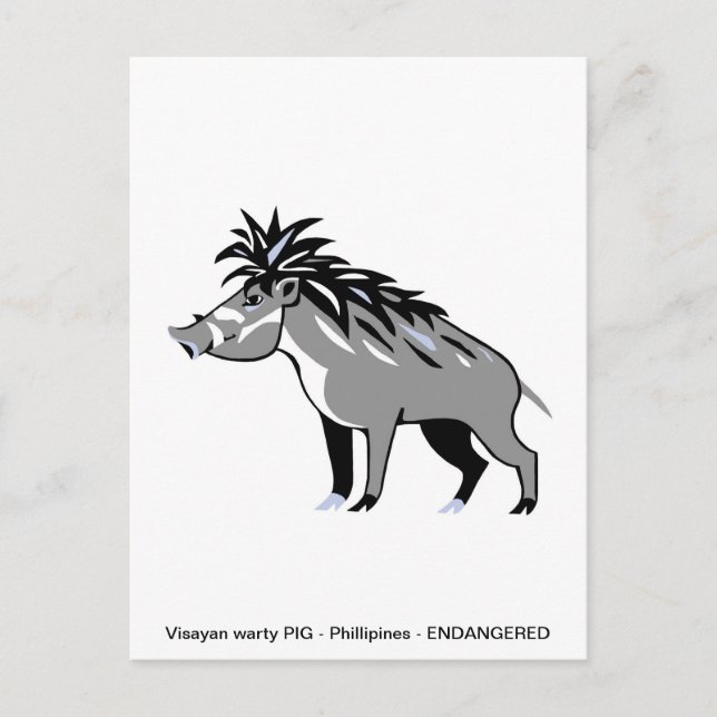 Cartão Postal Legal Visayan Warg PIG - Conservação - Warthog (Frente)