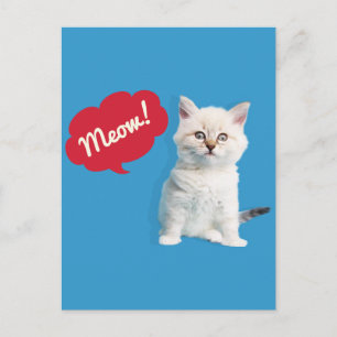 Cartão Postal Legenda de Miau de Gatinho Fofo