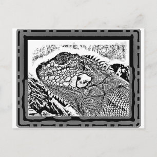Cartão Postal Leguan preto/branco