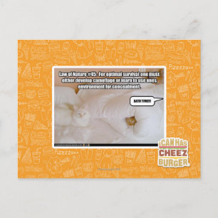 Cartão Postal Lei da Natureza #45