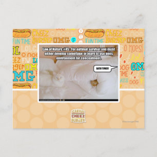 Cartão Postal Lei da Natureza #45