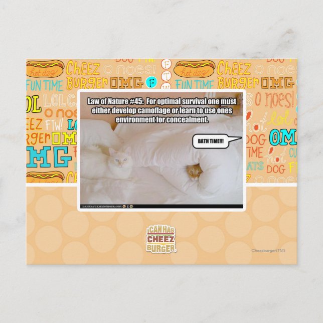 Cartão Postal Lei de natureza #45 (Frente)