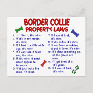 Cartão Postal Lei de Propriedade COLLIE FRONTEIRIÇA 2