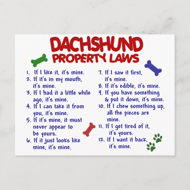 Cartão Postal Lei de Propriedade Dachshund 2 (Frente)
