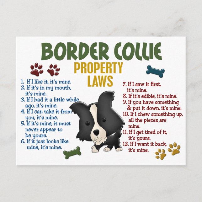 Cartão Postal Lei de Propriedade de Collie de Borda 4 (Frente)