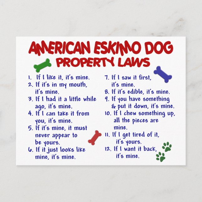 Cartão Postal Lei de propriedade de DOG ESKIMO AMERICAN 2 (Frente)