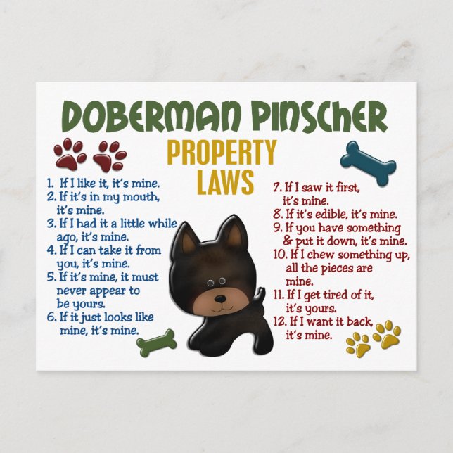 Cartão Postal Lei de Propriedade Doberman Pinscher 4 (Frente)