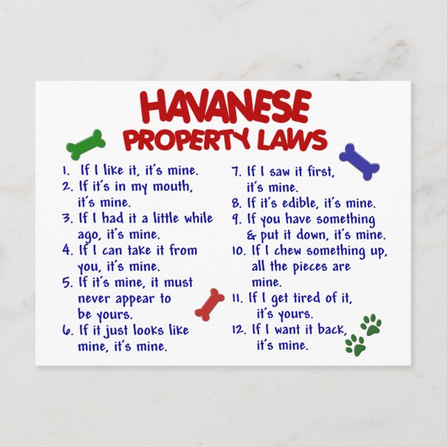 Cartão Postal Lei de Propriedade HAVANESE 2 (Frente)