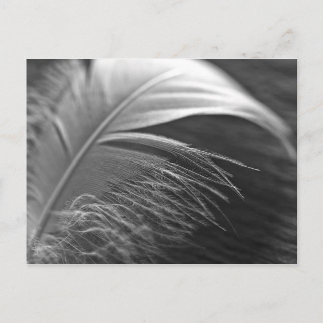 Cartão Postal Leichtigkeit (Frente)