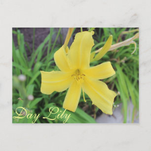 Cartão Postal Leilão de Dia Amarelo # 1