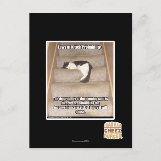 Cartão Postal Leis da Probabilidade de KITH (Frente)