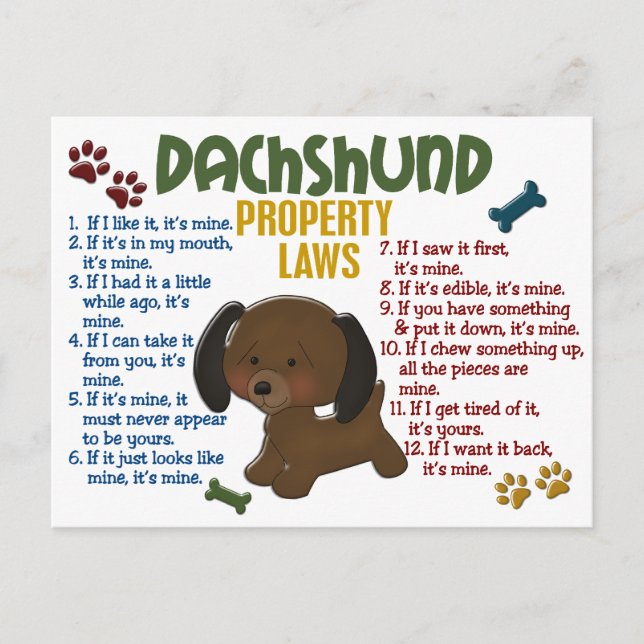 Cartão Postal Leis de Propriedade Dachshund 4 (Frente)