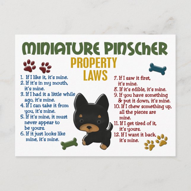Cartão Postal Leis de Propriedade de Pinscher Miniatura 4 (Frente)