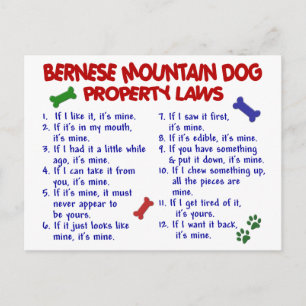 Cartão Postal Leis de Propriedade do CÃO MONTANHÊS DE BERNA 2