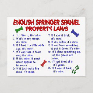 Cartão Postal Leis de Propriedade do ENGLISH SPRINGER SPANIEL 2