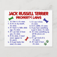 Leis de Propriedade do JACK RUSSELL TERRIER 2