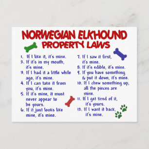 Cartão Postal Leis de Propriedade do NORUEGUÊS ELKHOUND 2