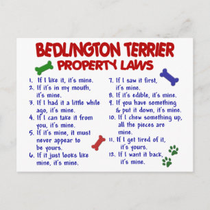 Cartão Postal Leis de propriedade do TERRIER BEDLINGTON 2