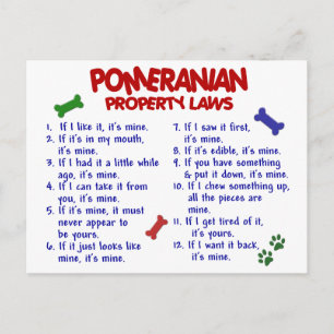 Cartão Postal Leis de propriedade POMERANIAN 2