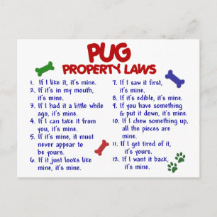 Cartão Postal Leis de Propriedade PUG 2