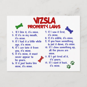 Cartão Postal Leis de Propriedade VIZSLA 2