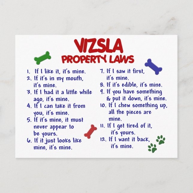 Cartão Postal Leis de Propriedade VIZSLA 2 (Frente)