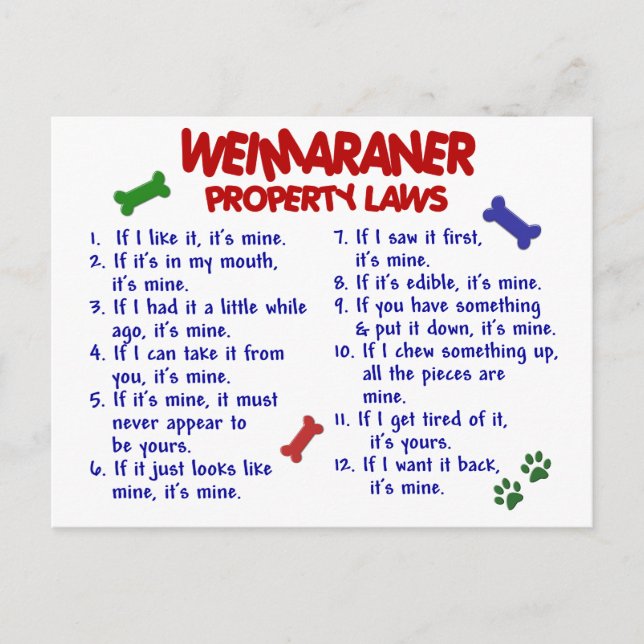 Cartão Postal Leis de Propriedade Weimaraner 2 (Frente)