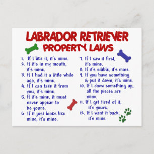 Cartão Postal Leis de propriedades do LABRADOR RETRIEVER