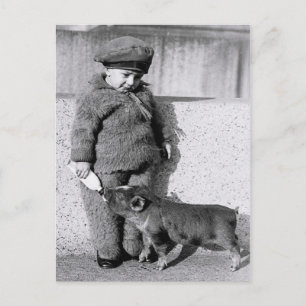 Cartão Postal Leitão para aleitamento infantil com leite engarra