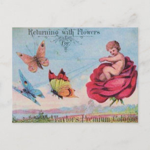 Cartão Postal Leite e Borboletas Colônia Ad