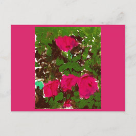 Cartão Postal Leito de Rosas 