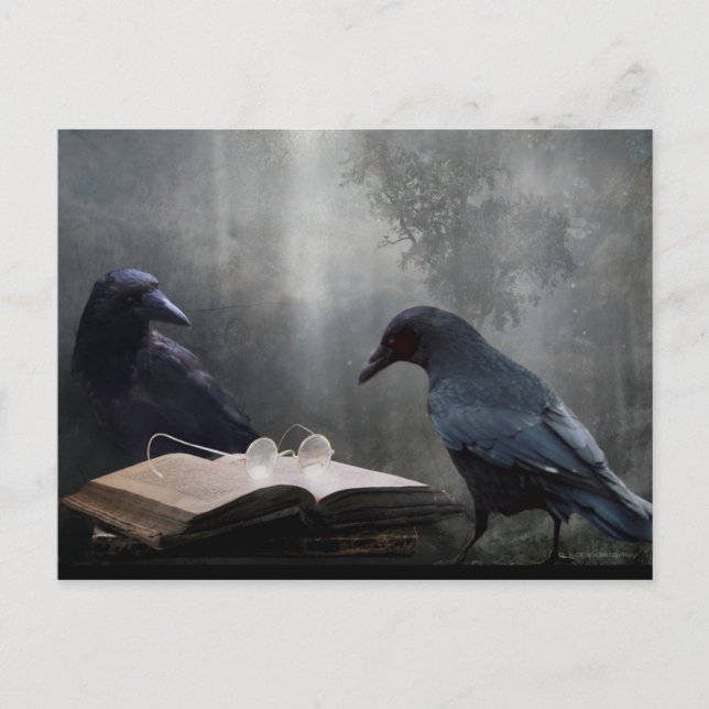 Cartão Postal Leitor (Frente)