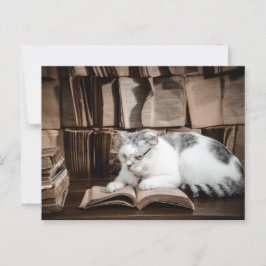 Cartão Postal Leitura de Gato em Óculos Pós-Cruzamento