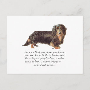 Cartão Postal Lembrança de Dachshund - Fêmea