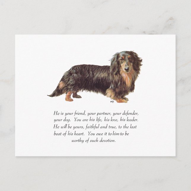 Cartão Postal Lembrança de Dachshund - Macho (Frente)