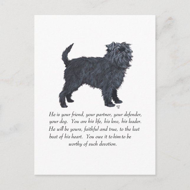 Cartão Postal Lembrança do Affenpinscher (Frente)