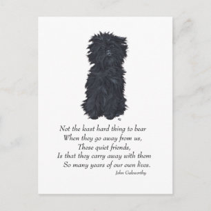 Cartão Postal Lembrança do Affenpinscher