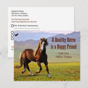 Cartão Postal Lembrete de Compromisso de Cavalo para o Veterinár