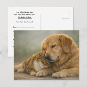 Cartão Postal Lembrete de Consulta Veterinária de Carinho de Gat