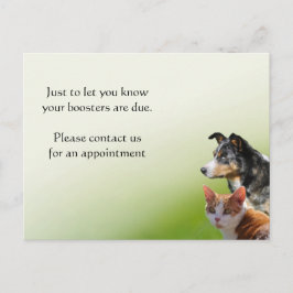Cartão Postal Lembrete de vacinação por animal