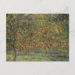 Cartão Postal Lemon Grove em Bordighera por Claude Monet