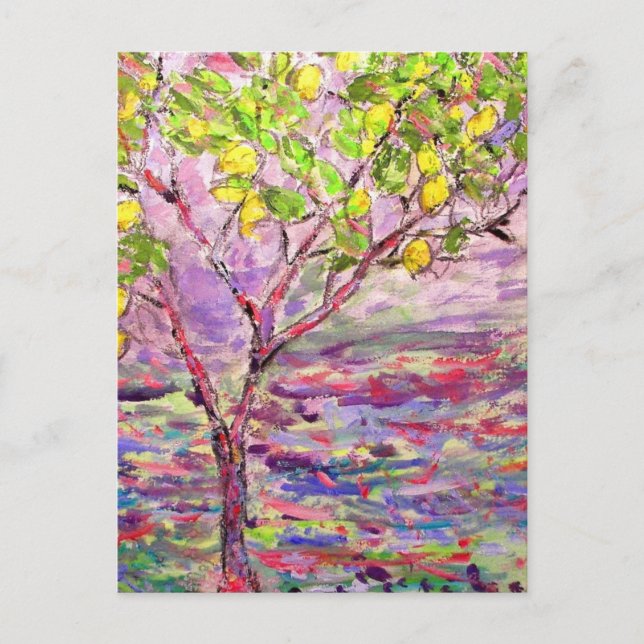 Cartão Postal Lemon Tree Zen (Frente)