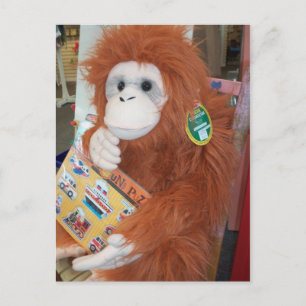 Cartão Postal Lendo Orangutan