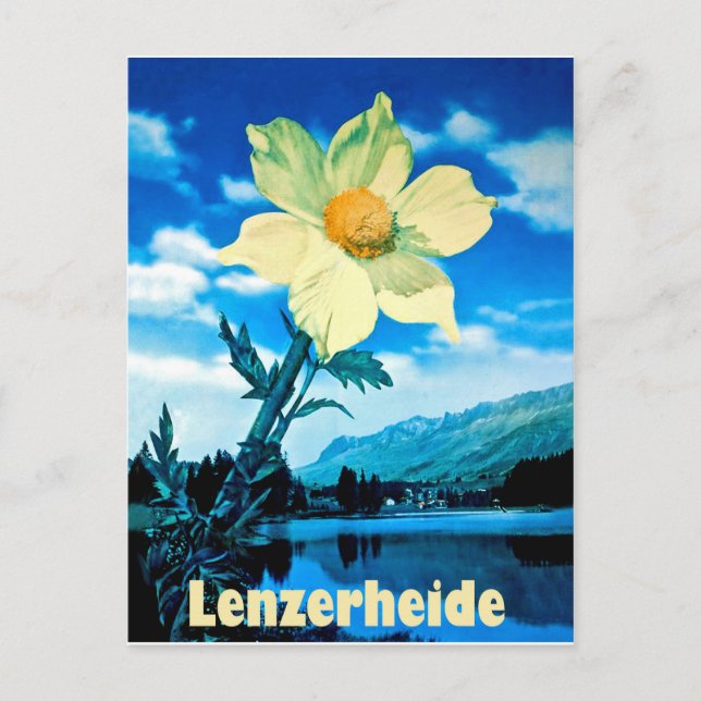 Cartão Postal Lenzerheide, Suiça, flor de verão no lago (Frente)